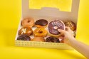 Donut Lover's karty do gry