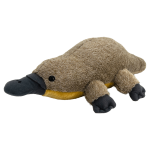 Pluszak Dziobak australijski All About Nature