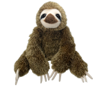 Pluszak Leniwiec All About Nature