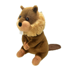 Pluszak Bóbr All About Nature