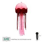 Pluszak Meduza All About Nature