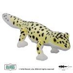 Pluszak Jaszczurka tygrysia All About Nature